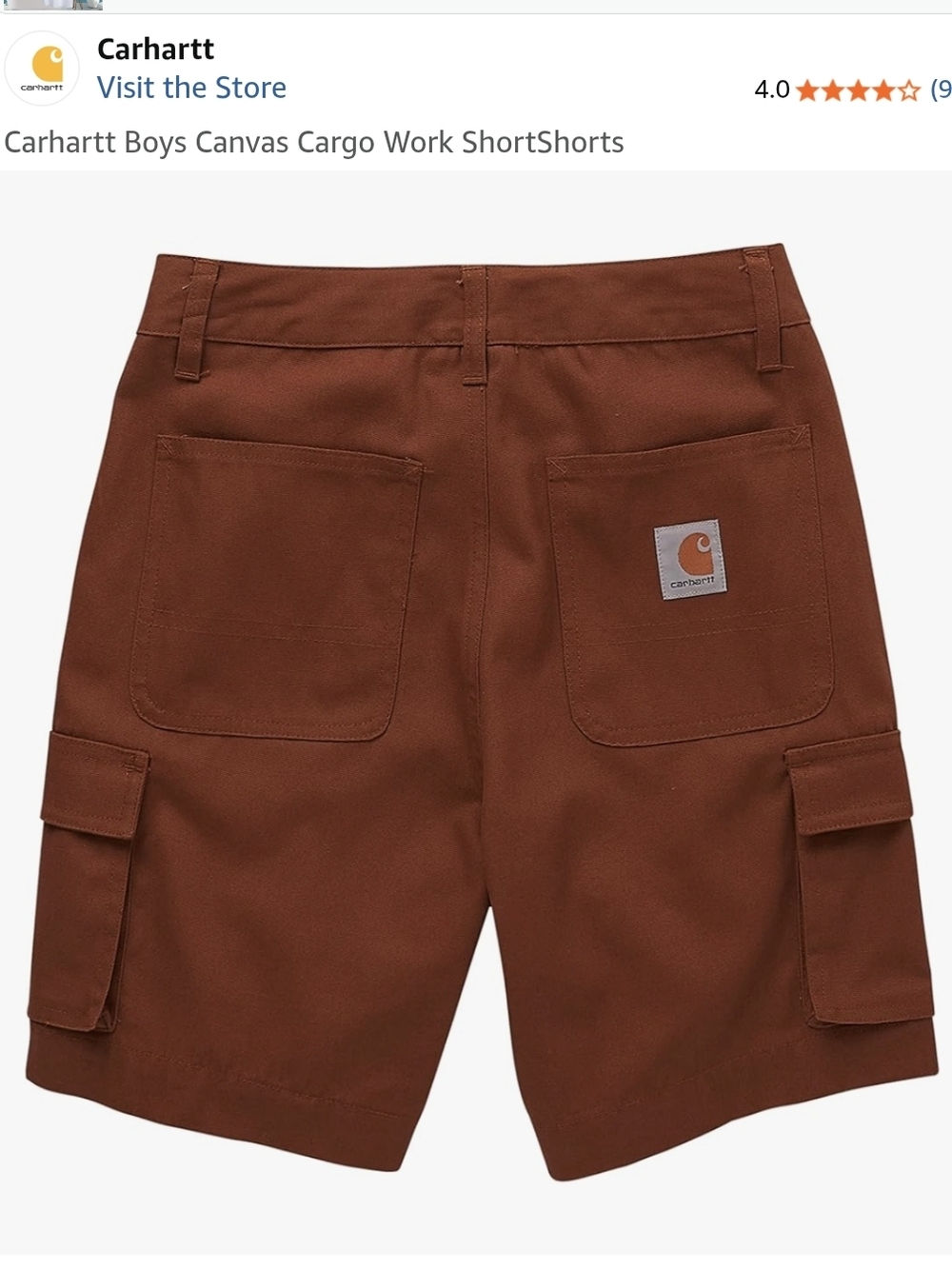 Carhartt Boy's Cargo Shorts in Brown